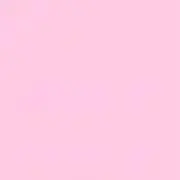きょんの画像