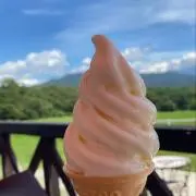 うぃの画像