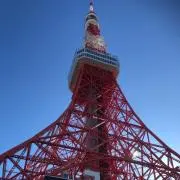 茶子の画像