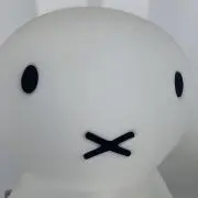 らぱこの画像
