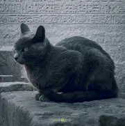 YUKlの画像
