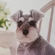 ベスママの画像