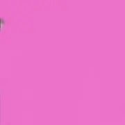 ♡