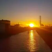 取り引き