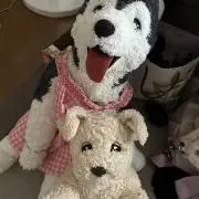 めいこの画像