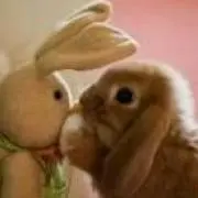 はち