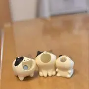koko72の画像