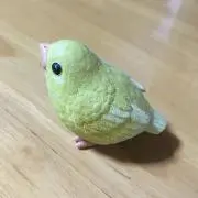 カサ