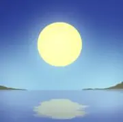 こたまの画像