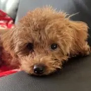 まなみんの画像