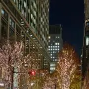 う(*´꒳`*)ネイルチップ300円均一の画像