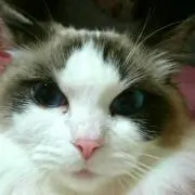 ゆみこんたす(°▽°)♪