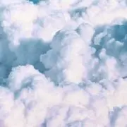 Purppの画像