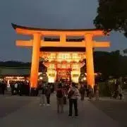 タランチュラの画像