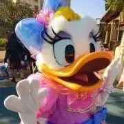 おもちの画像