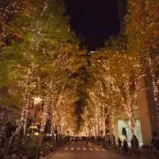 トキ【プロフ必読です！】の画像