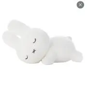 ねむこの画像