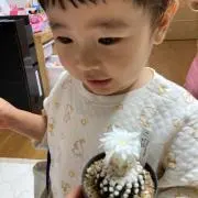 keisuke.cactiの画像