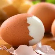 ゆでたまごさん