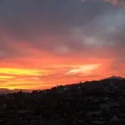 rikopinの画像