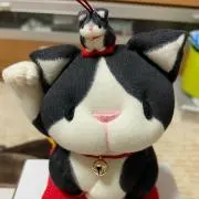 よーこの画像