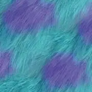 S4RRY
