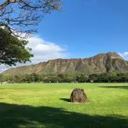 ききの画像