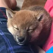 おほ♥️
