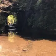 もつなべ