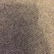 名無し