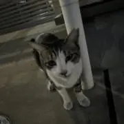 なーち★プロフ確認お願いしますの画像