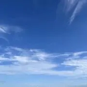 topovisaの画像