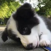 krtkkの画像