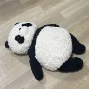 なみの画像