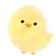 cocoの画像