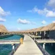 ベ⭐︎キ