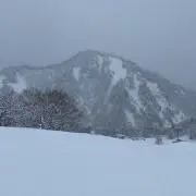 くさ