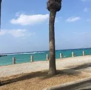 純の画像