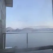 マーフィーの画像