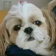 みるみる