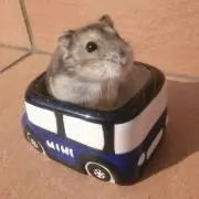 みらいつの画像