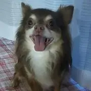 こころ