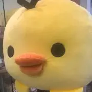 あおりんご断捨離中の画像