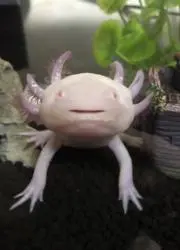 UPの画像