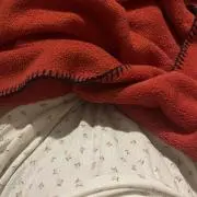 fの画像
