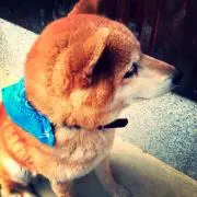 みきおか