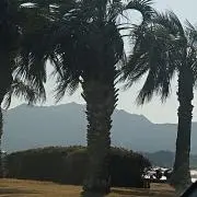 わんぱくの画像