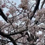あいうえおの画像