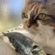 まりるりの画像