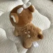 虹イクラの画像